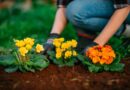 Grow the best flower garden ever with these 10 expert tips